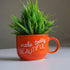 Make Today Great | Ceramic Wall Planter | Table Accessory | Personalised Gift | Home Decor